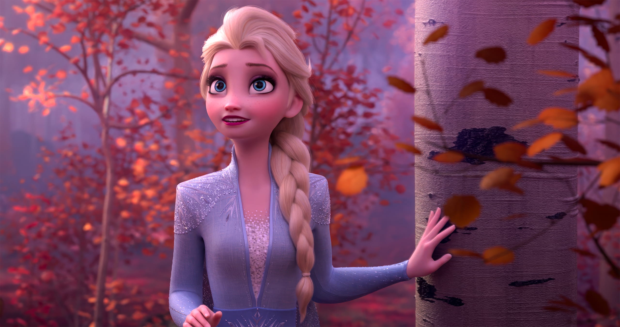 이 숲은 정말 아름다워